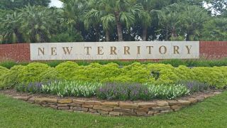 Mold Inspection New Territory Texas